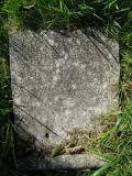 image of grave number 105311